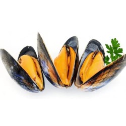 COZZE al Kg.